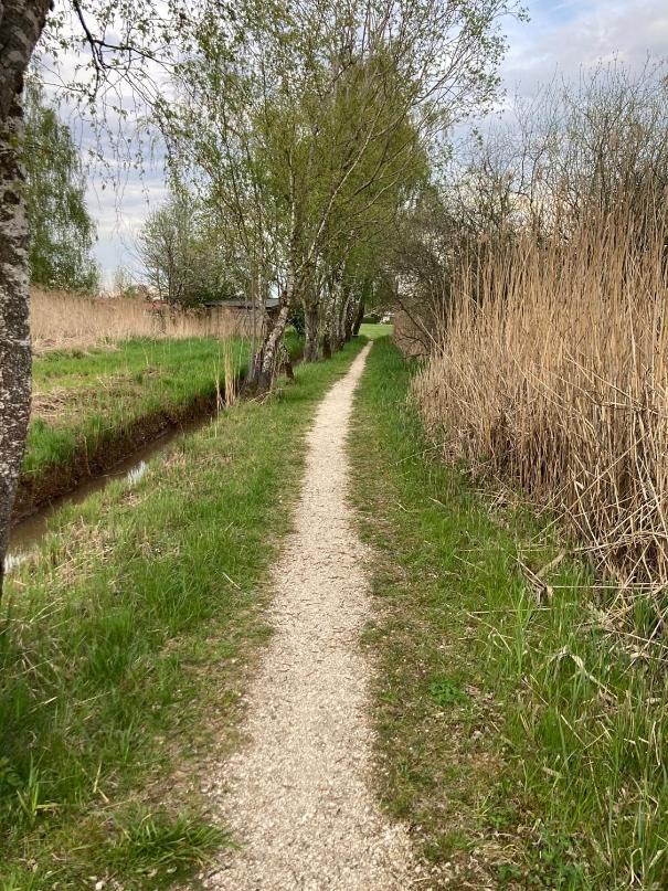 Feriennest Chiemseeglueck Übersee Kültér fotó